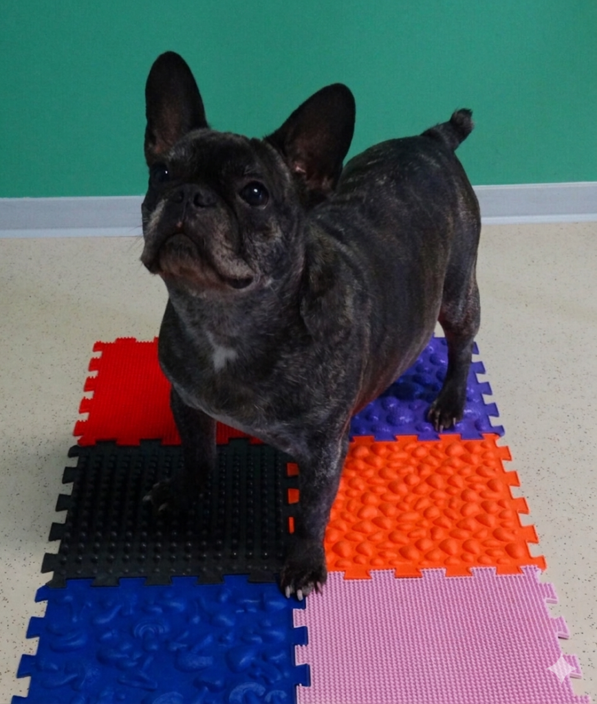 gemini generated image s84edns84edns84e