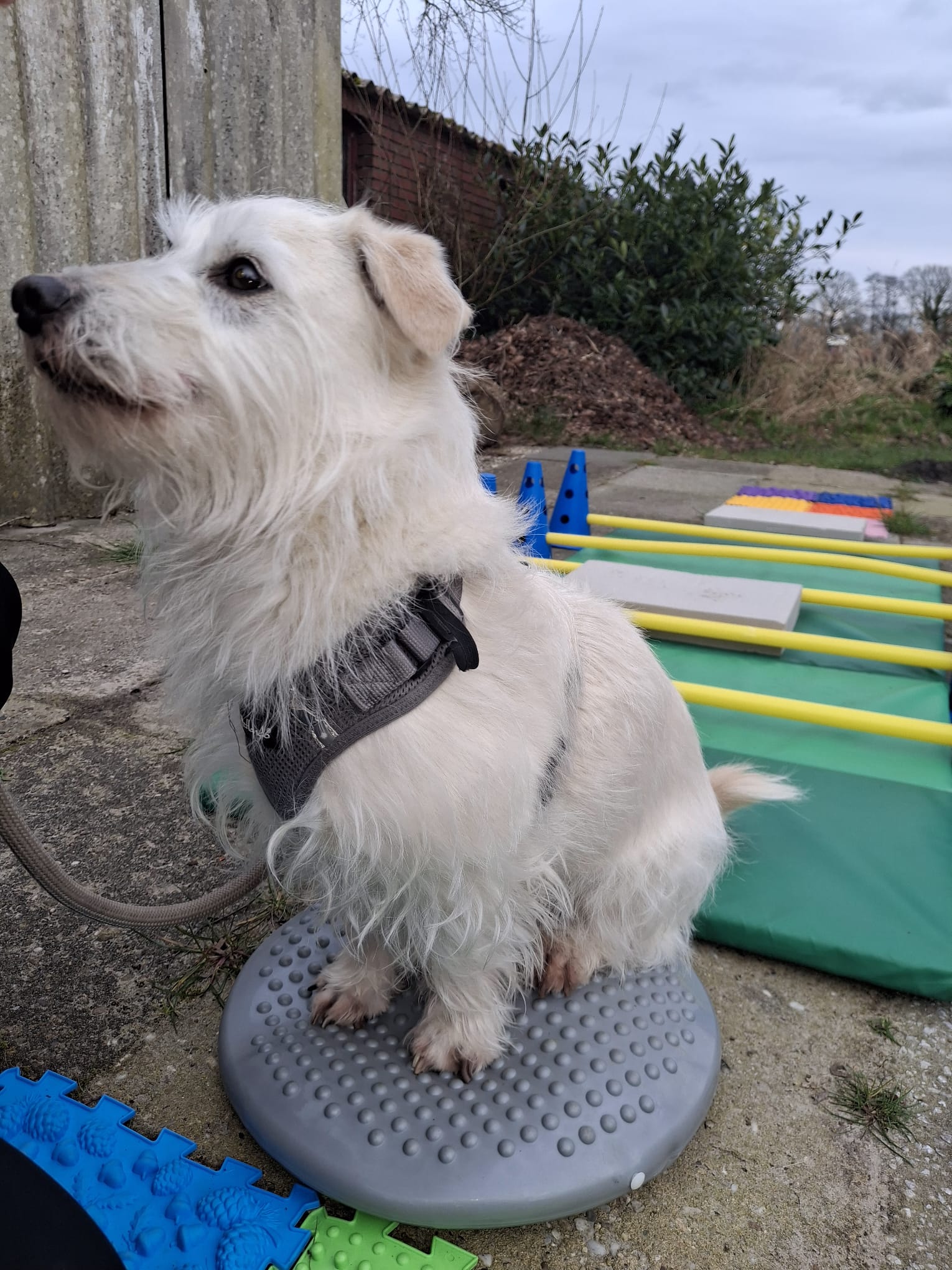 photo 2026 03 28 16 31 05