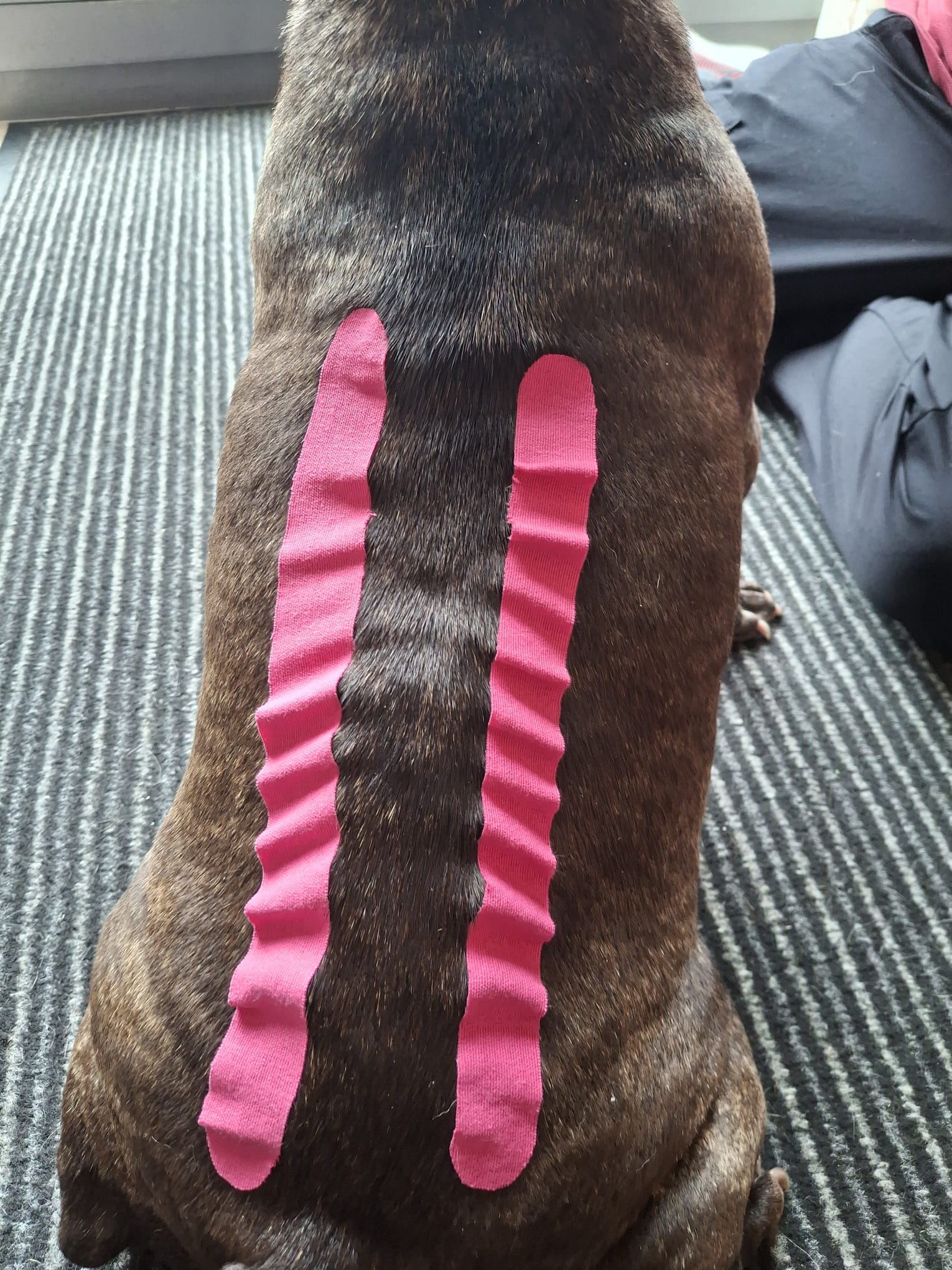 whatsapp image 2026 03 22 at 14.49.56